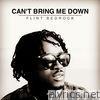 Flint Bedrock - Can't Bring Me Down - Single