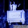 WHAT IS WRONG // forward, backward and nothing is lost - Single