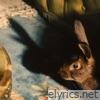 Rabbits Can Swim - Single
