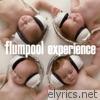 Flumpool - Experience