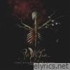 Time Will Heal Our Wounds - Single