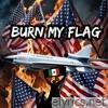 Burn My Flag - Single