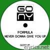 Never Gonna Give You Up - EP