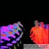 Waiting For The Punchline (Swallertrip Extended) - Single