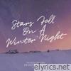 Stars Fell on a Winter Night - Single