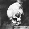 Echoes In a Hollow Skull III - Single