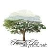 Family Tree - Single