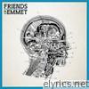 Friends Of Emmet - State of Mind