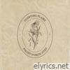 Counting Flaws - Single