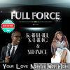 Your Love Makes Me High (feat. Raphael Saadiq & Shanice)