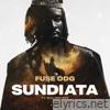 Sundiata (feat. Suli Breaks) - Single