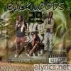 Backwoods (feat. KeeZY) - Single