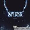 Spider - Single