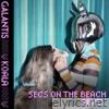 Koala (secs on the beach Remix) - Single