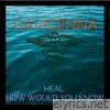 Heal / How Would You Know - Single
