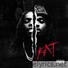 KAT (feat. La Rvfleuze) - Single