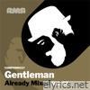 Already Mixed, Vol. 27 (Compiled & Mixed by Gentleman)