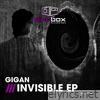 The Invisible - EP