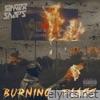 Burning Flags (single)