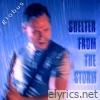 Shelter From The Storm - Single
