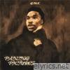 Painting Pictures - Single