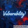 Vulnerability - Single