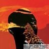 THE OBSERVER (feat. Dreddy) - Single