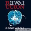 Revolución (Bonus Track Version)