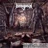 Ravaged Corpse Decor - Single