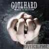 Gotthard - Need to Believe (Bonus Track Version)