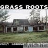 Grass Roots (feat. Chad Taylor, Darius Jones, Alex Harding & Sean Conly)