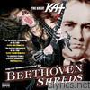 Beethoven Shreds