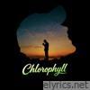 Chlorophyll - Single