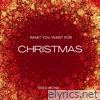 What You Want For Christmas - Single
