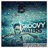 Groovy Waters - Into the Groove