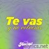 Te Vas y No Volverás - Single