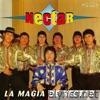 La Magia de Nectar