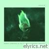 Gryffin - Nobody Compares To You (feat. Katie Pearlman) [Remixes] - EP