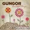 Gungor - Beautiful Things