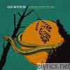 Guster - Ganging Up On the Sun