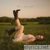 Fly on the Wall - Single