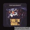 Thru the Grass (Live) - Single
