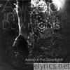 Asleep In the Downlights - EP