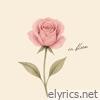 in bloom - Single