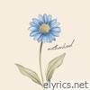 motherhood - Single