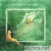 Sitting In The Dark - Single