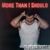 More Than I Should - EP