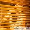 All or Not at All - Single