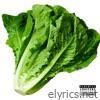 Lettuce - Single