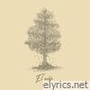 El niño - Single